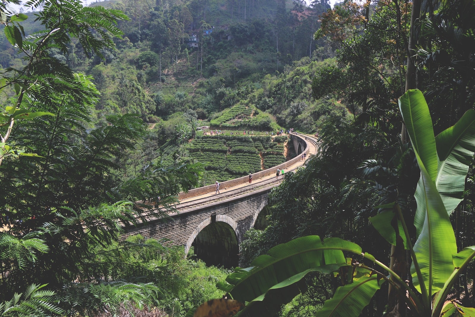 high-angle photography of concrete bridge surrounded by trees